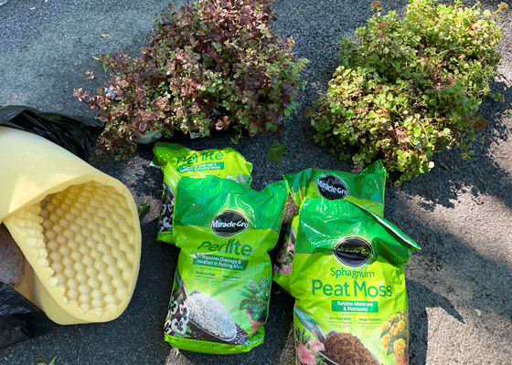Bags of peat and perlite and succulents for project