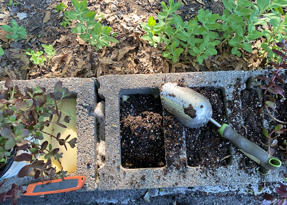 Soil scooped into cinder block