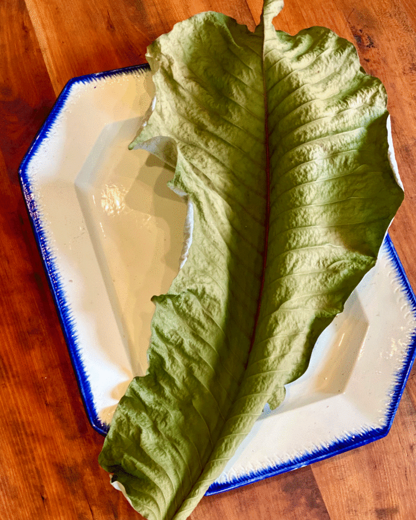 Leaf on a platter | Photo by Lucy Mercer | A Cook and Her Books