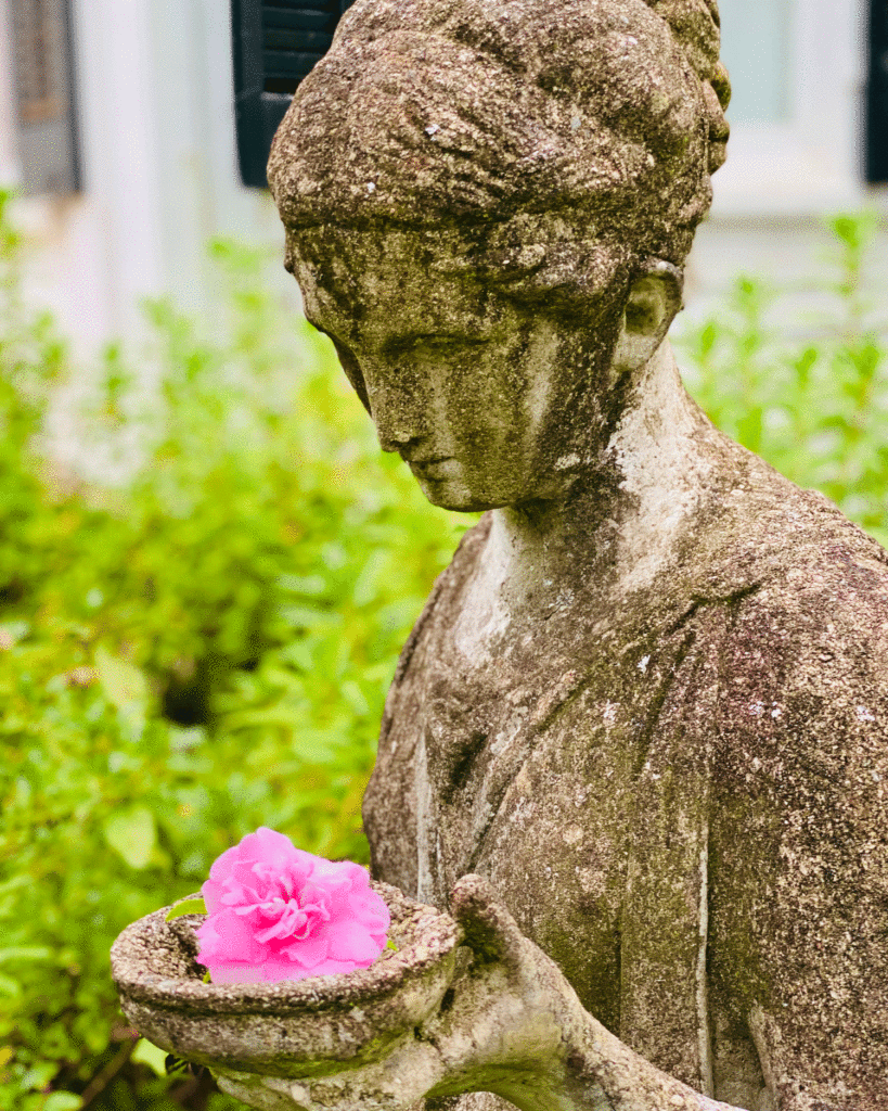 Pink camellia in statue's hand | Photo by Lucy Mercer | A Cook and Her Books