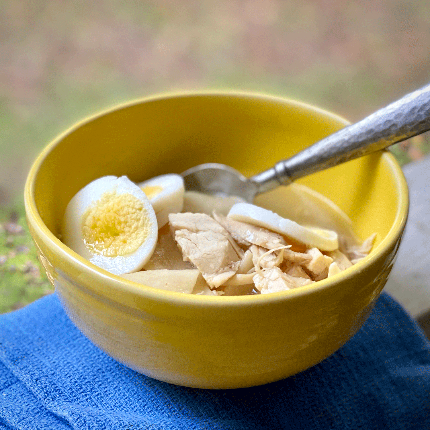 Chicken and dumplings in a bowl | Photo by A Cook and Her Books