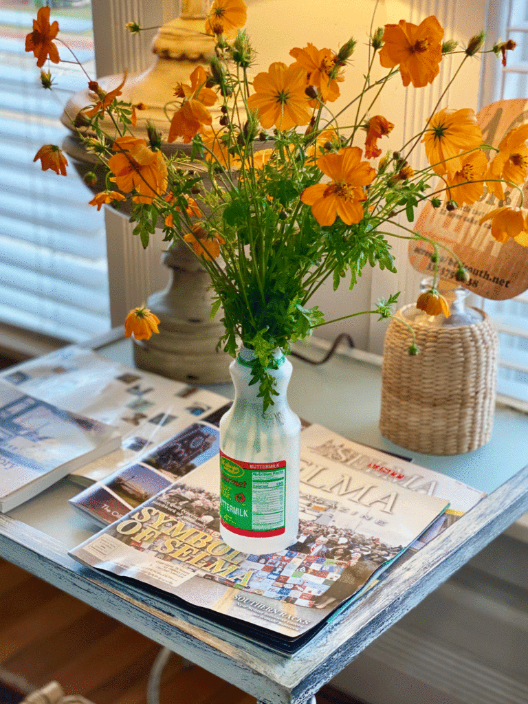 Orange cosmos in a vase | Photo by Lucy Mercer | A Cook and Her Books