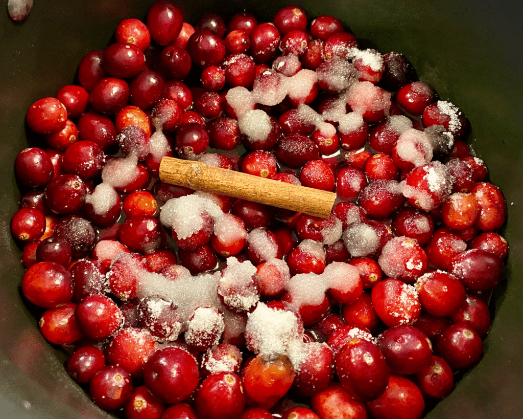 Cranberries, sugar and cinnamon stick in pot | Photo by Lucy Mercer | A Cook and Her Books