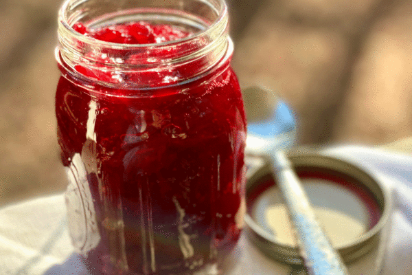 Cranberry sauce in jar | Photo by Lucy Mercer | A Cook and Her Books