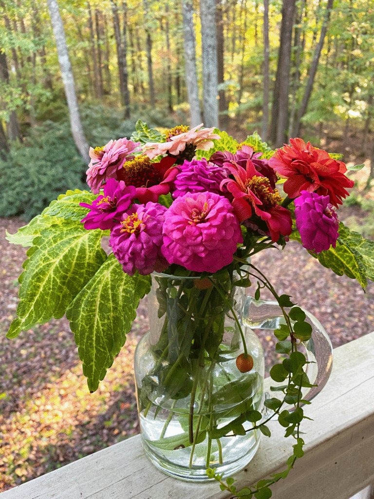 Zinnias in a bouquet. Photo by Lucy Mercer | A Cook and Her Books