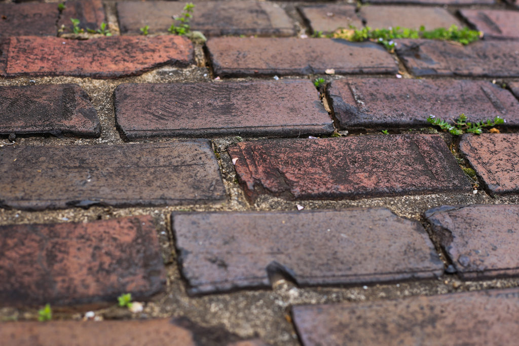 Brick pavers at Oakland Cemetery | Photo by Laura Mercer