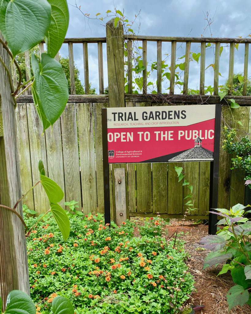 UGA Trial Gardens sign | Photo by Lucy Mercer/A Cook and Her Books