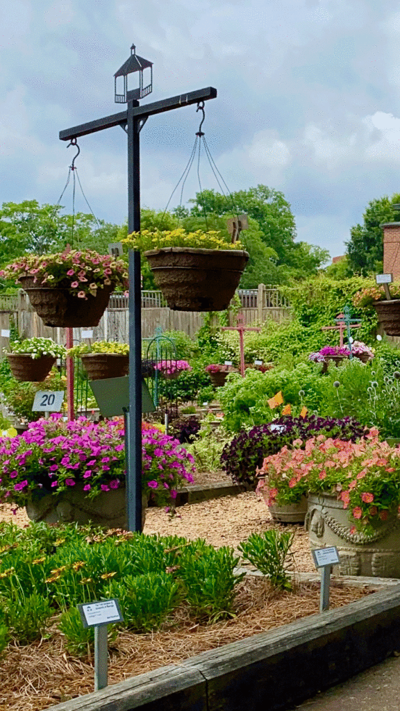 UGA Trial Gardens hanging baskets | Photo by Lucy Mercer/A Cook and Her Books
