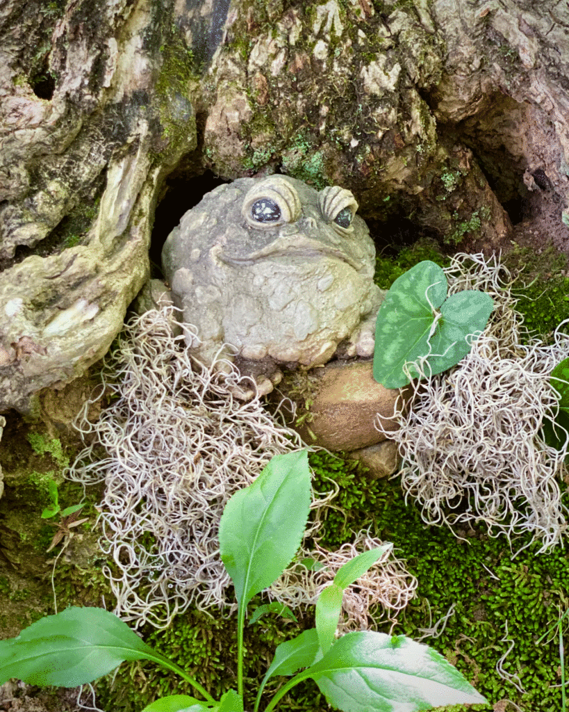 Ceramic toad in a tree hole | Photo by Lucy Mercer/A Cook and Her Books