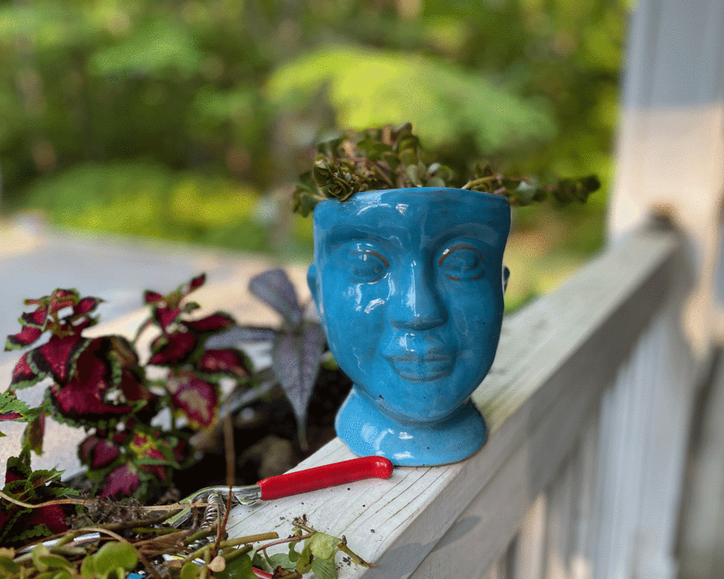 Blue head planter | Photo by Lucy Mercer/A Cook and Her Books