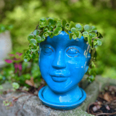 Blue head planter with sedum | Photo by Lucy Mercer/A Cook and Her Books