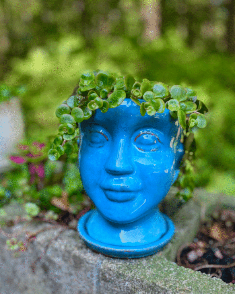 Blue face planter with succulents | Photo by Lucy Mercer/A Cook and Her Books