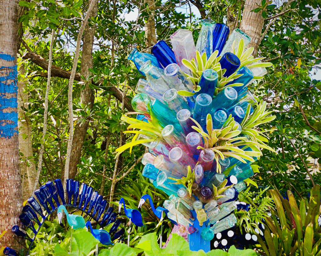 Bottle tree in the Lovegrove Garden | Photo by Lucy Mercer/A Cook and Her Books