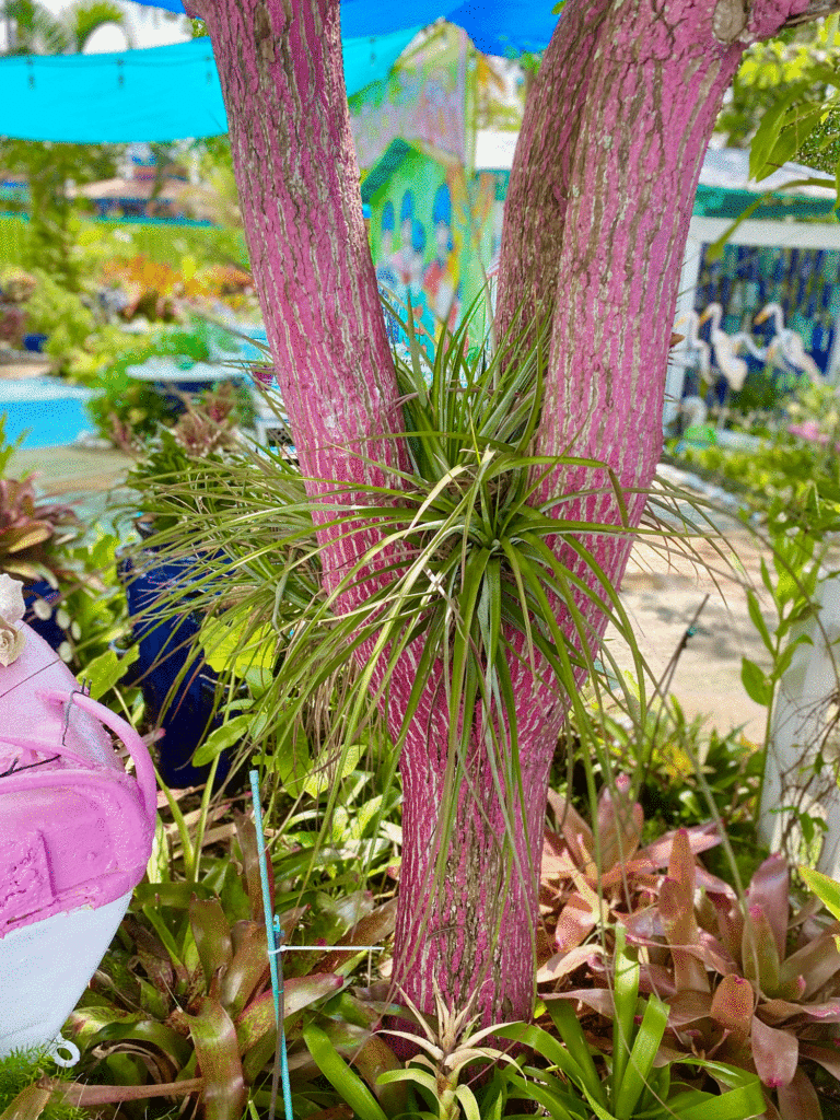 Trees painted pink with plants | Photo by Lucy Mercer/A Cook and Her Books