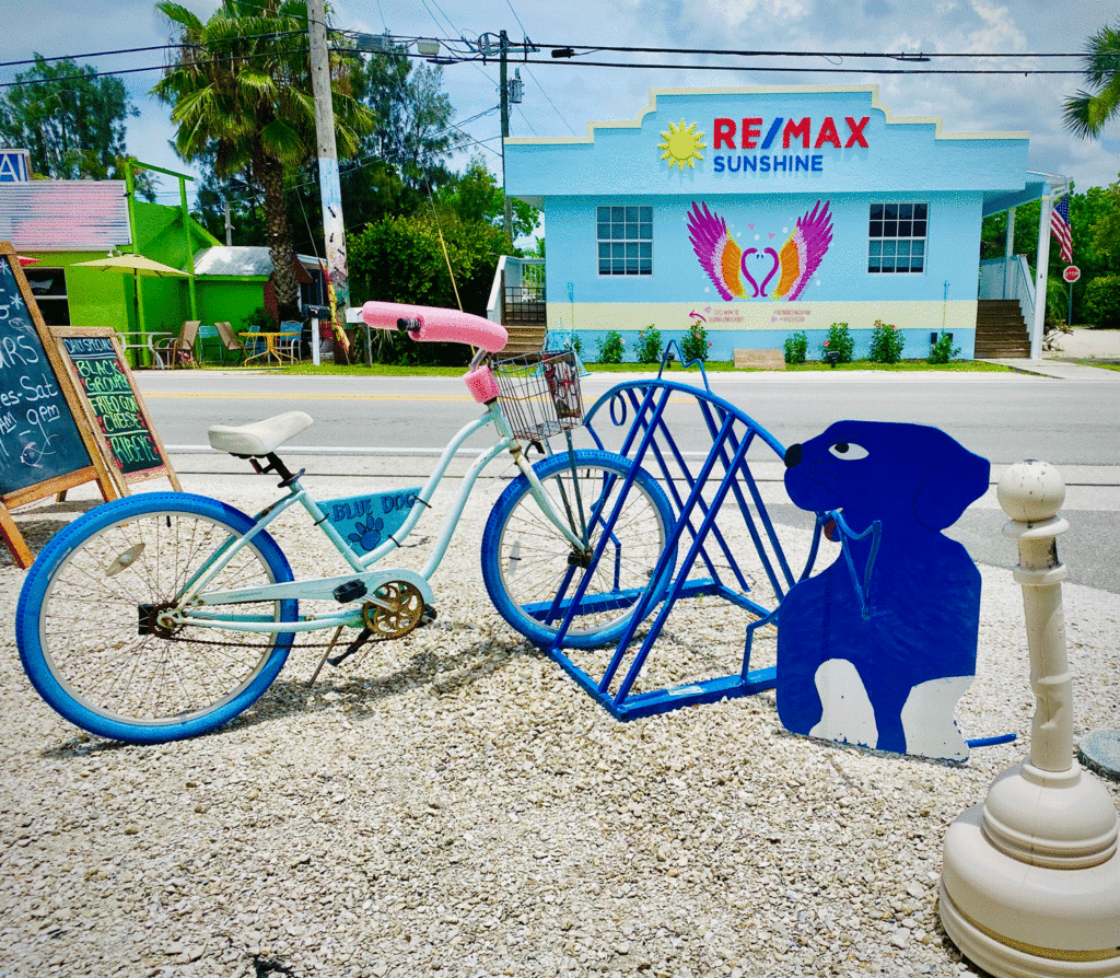 Bicycle and blue dog in Matlacha | Photo by Lucy Mercer/A Cook and Her Books