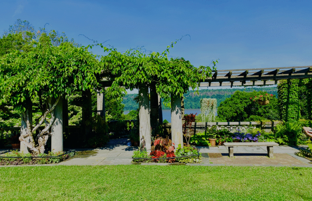 The pergola with a view of the Palisades | Photo by Lucy Mercer/A Cook and Her Books