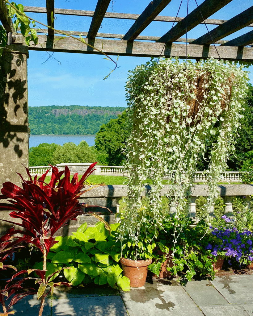 The view of the Hudson River | Photo by Lucy Mercer/A Cook and Her Books
