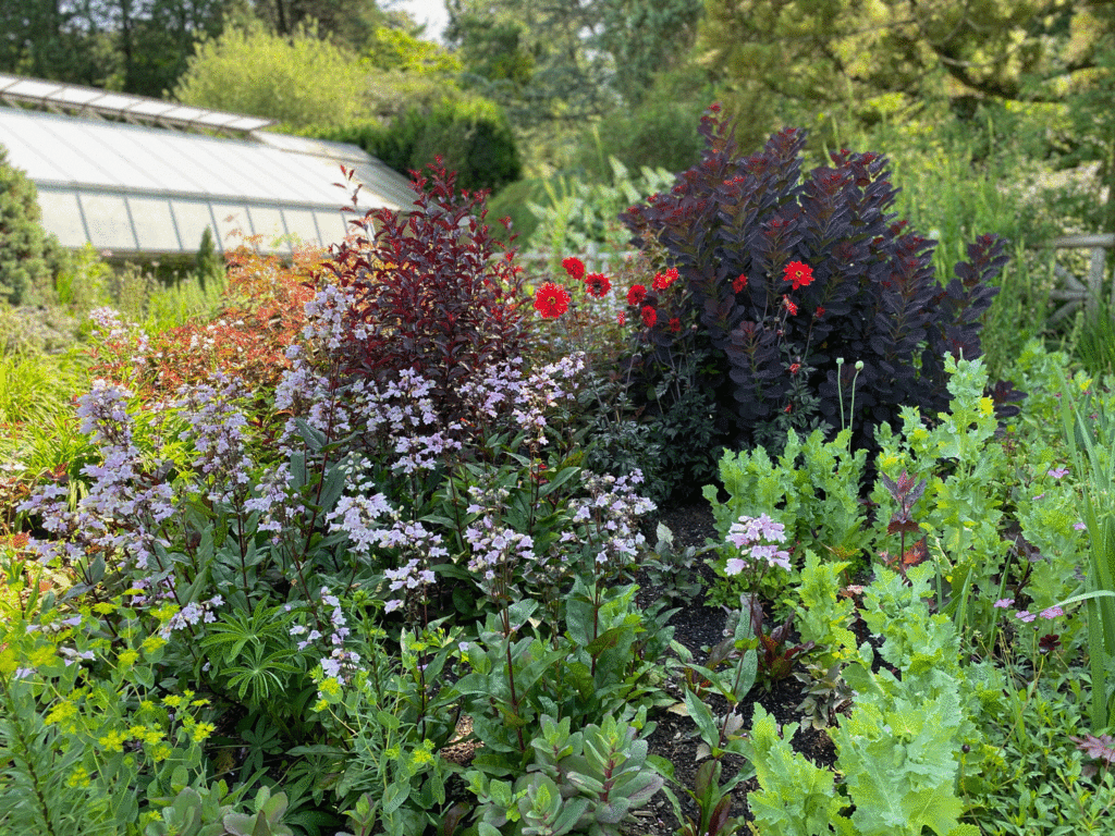 Gardens by greenhouse | Photo by Lucy Mercer | A Cook and Her Books