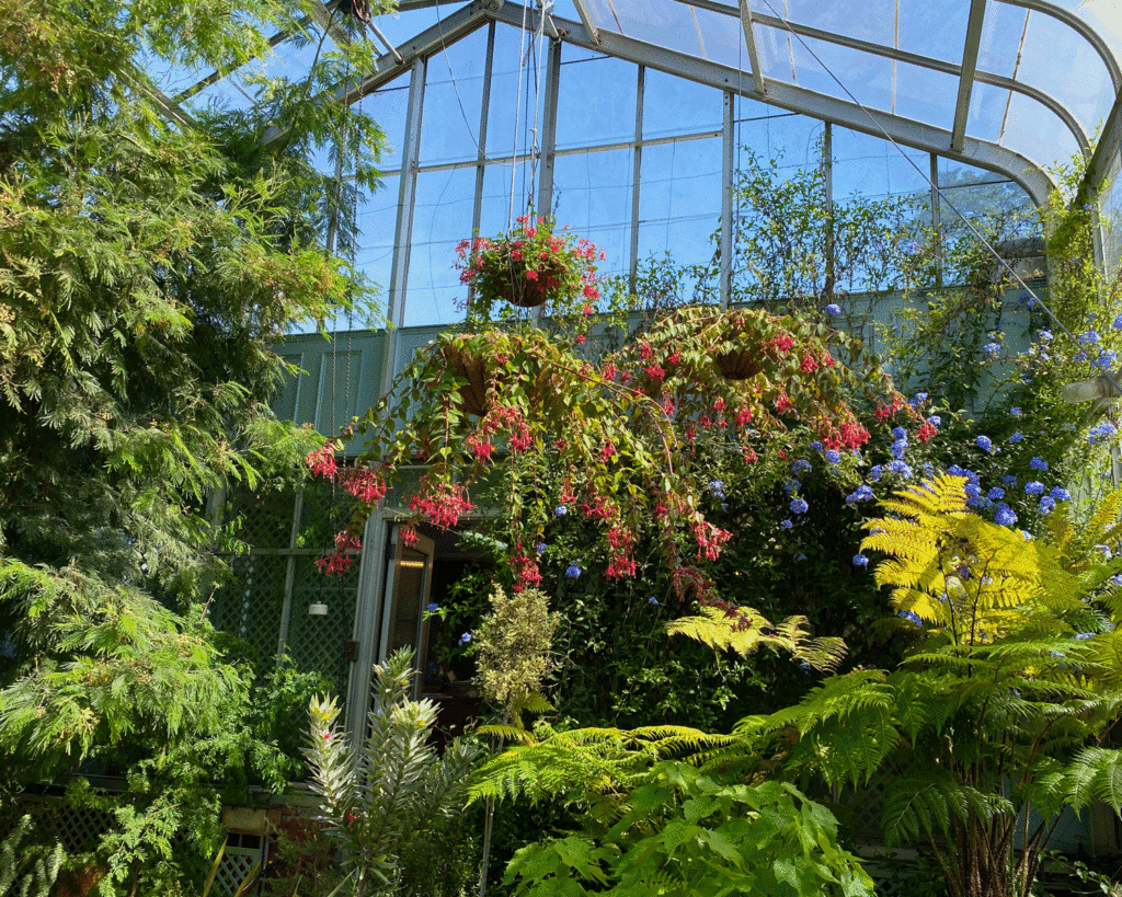Inside the greenhouse at Wave Hill | Photo by Lucy Mercer/A Cook and Her Books