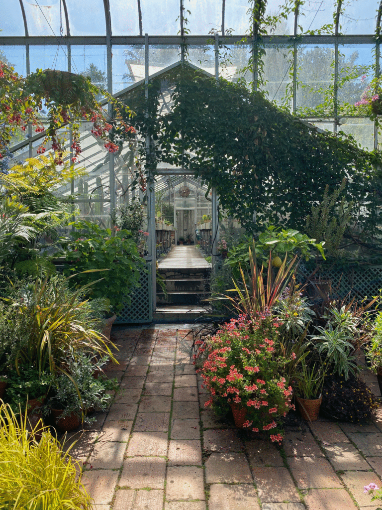 Greenhouse at Wave Hill | Photo by Lucy Mercer/A Cook and Her Books