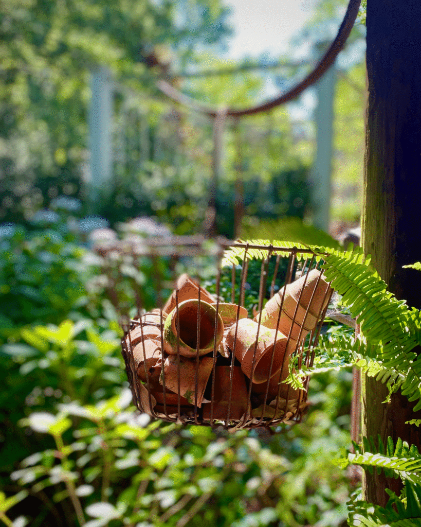 Terra cotta pots in wire basket | Photo by Lucy Mercer