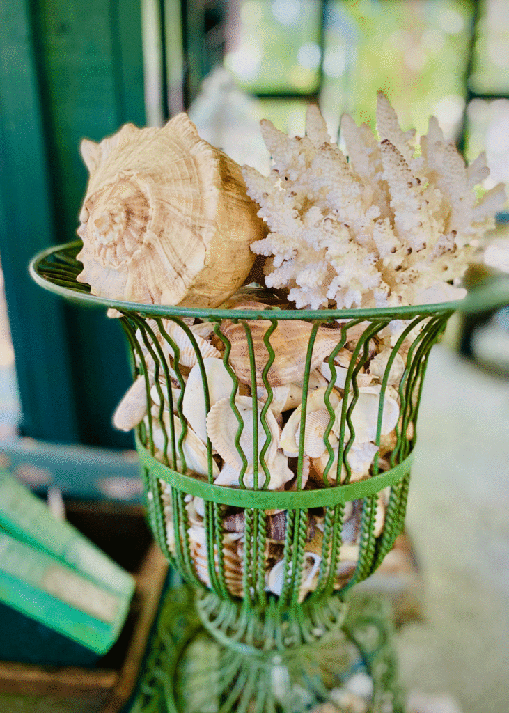 Seashells in wire container | Photo by Lucy Mercer/A Cook and Her Books