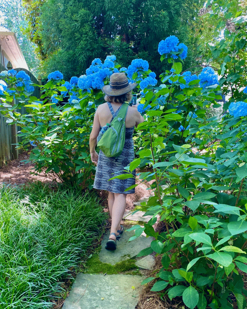 Woman walking in hydrangea garden | Photo by Lucy Mercer/A Cook and Her Books