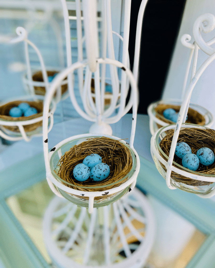 Blue bird eggs in nest | Photo by Lucy Mercer/A Cook and Her Books