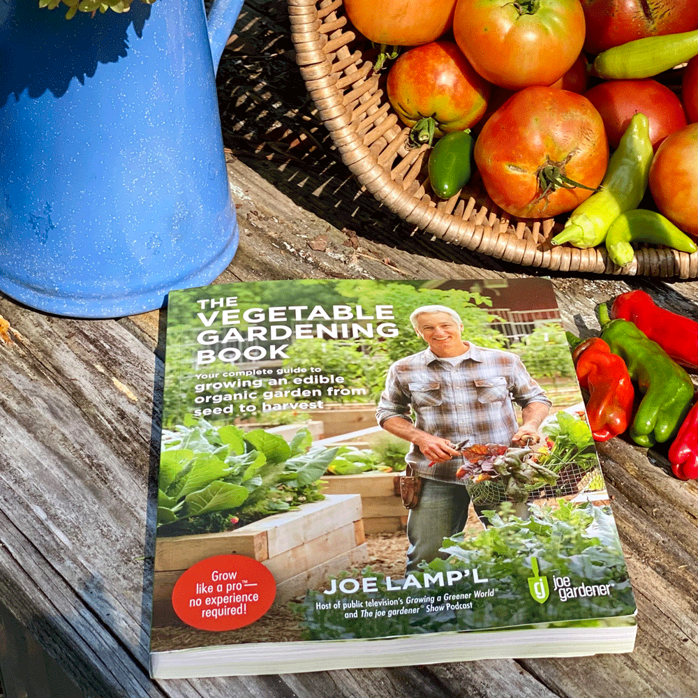The Vegetable Gardening Book by Joe Lamp'l | Photo by Lucy Mercer/A Cook and Her Books