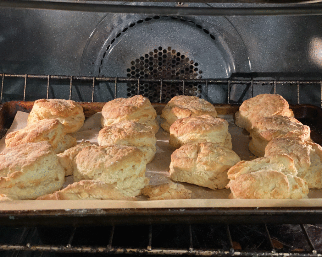 Biscuits in the oven | Photo by Lucy Mercer/A Cook and Her Books