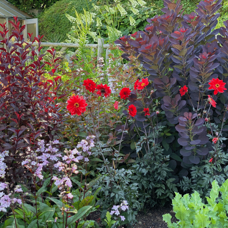 Summer flowers in the gardens at Wave Hill