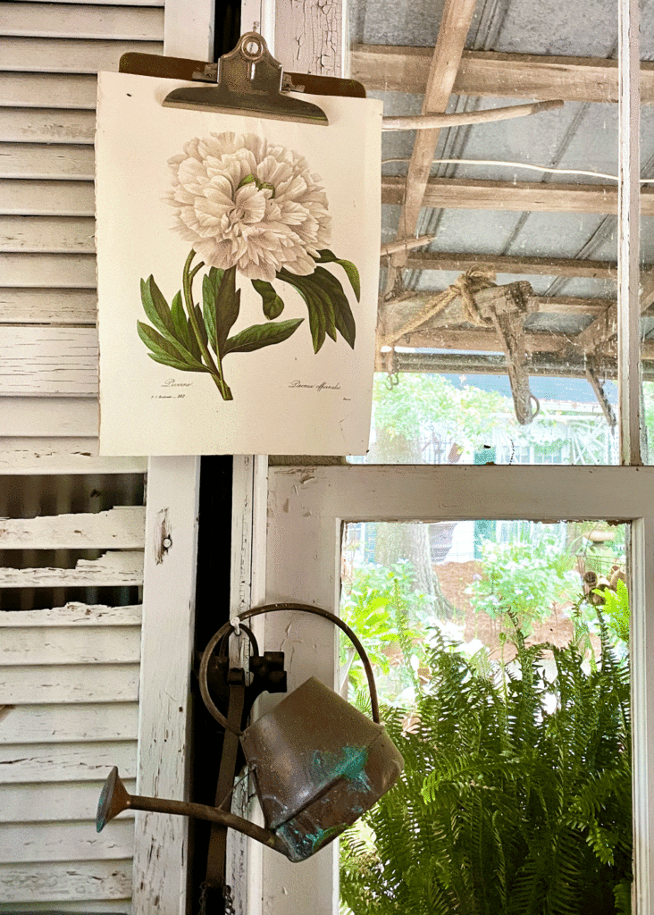 Flower print on a clipboard by a window