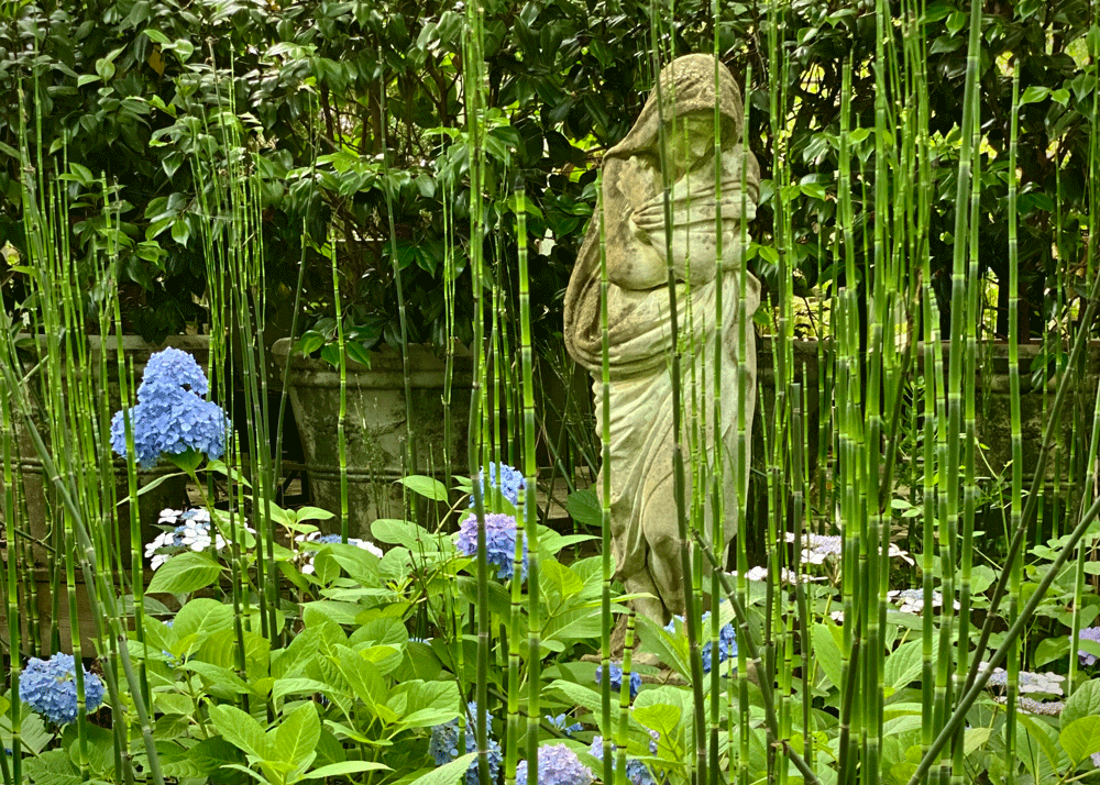 Statue in a garden with horsetail reed grass
