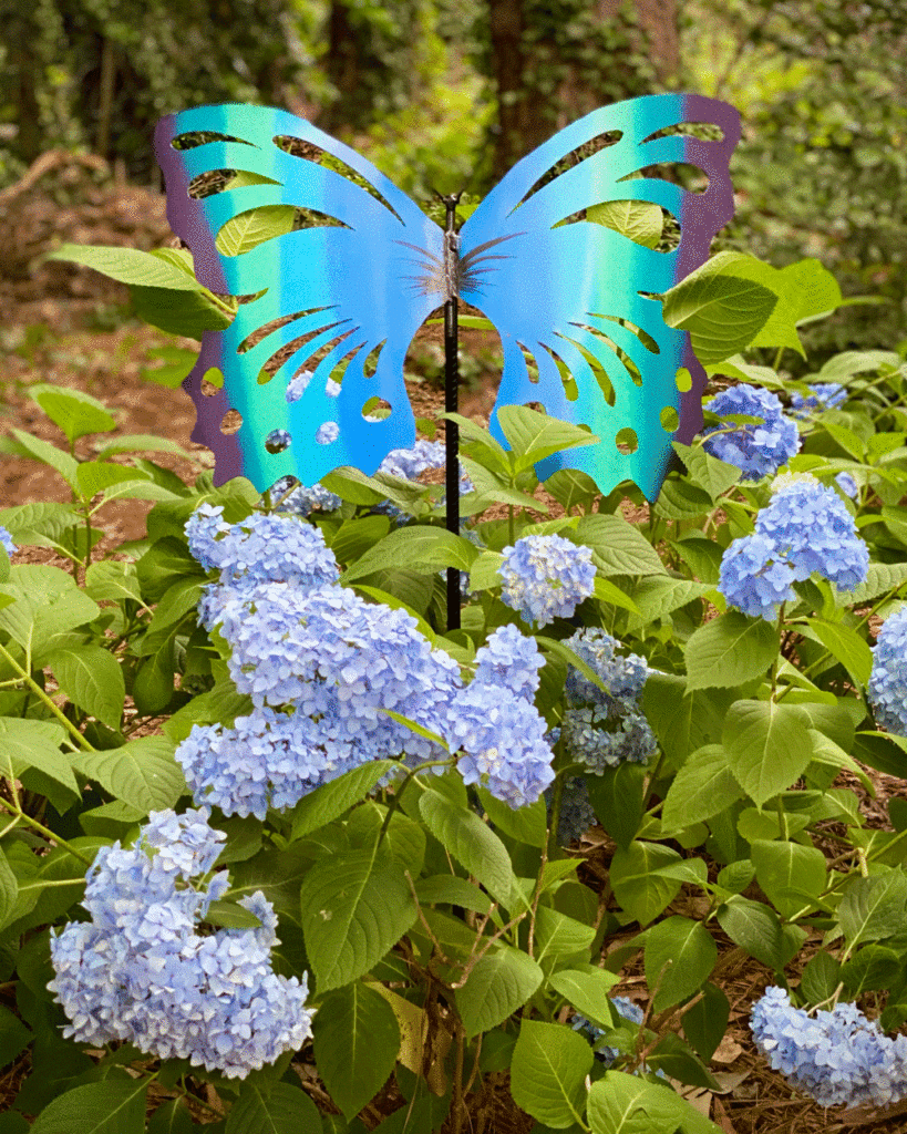 Butterfly sign in hydrangea bushes