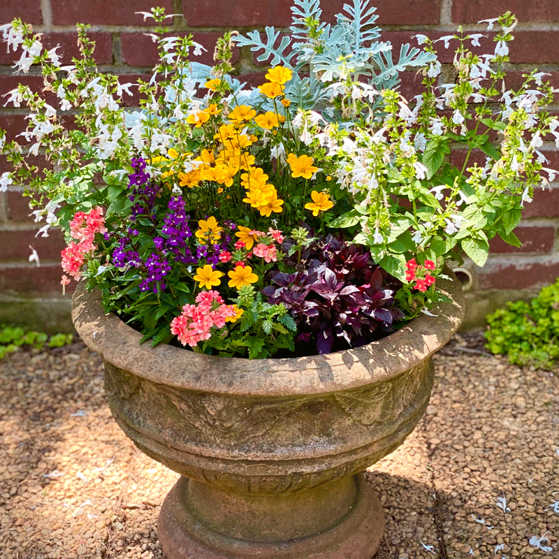 Spring container of flowers in a garden