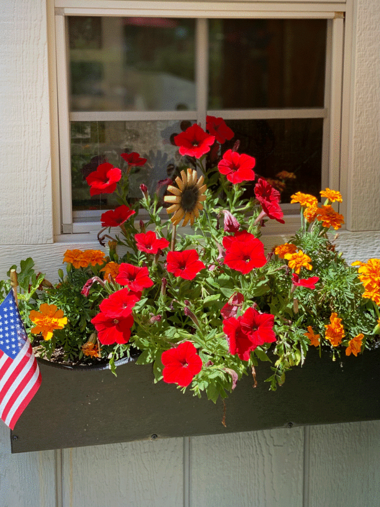 Red petunias and an American flag in a window box