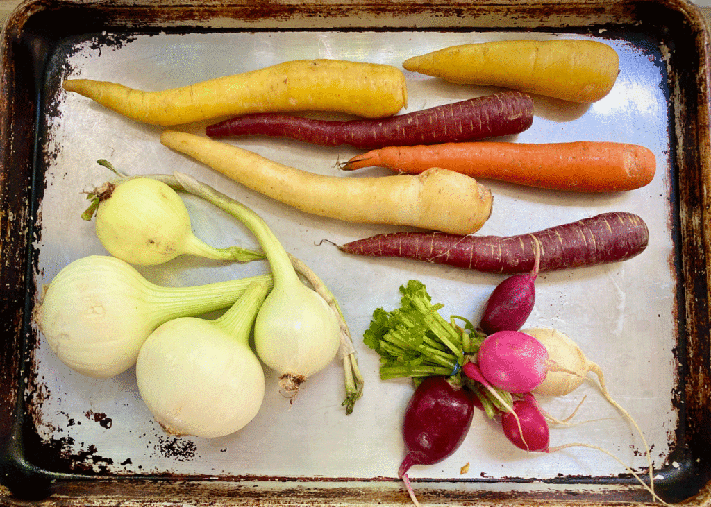 Carrots, onions and radishes on a tray