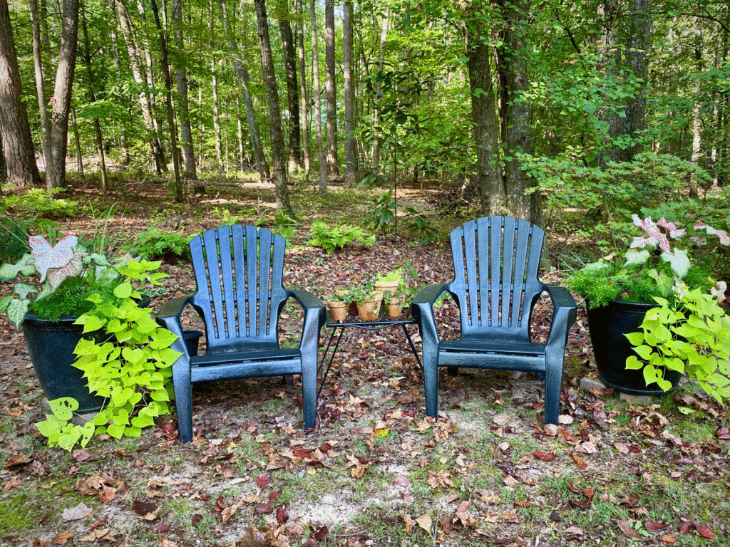 Two chairs with containers filled with summer annuals