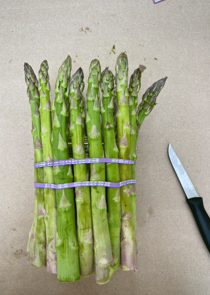 Asparagus stems tied to a glass jar 