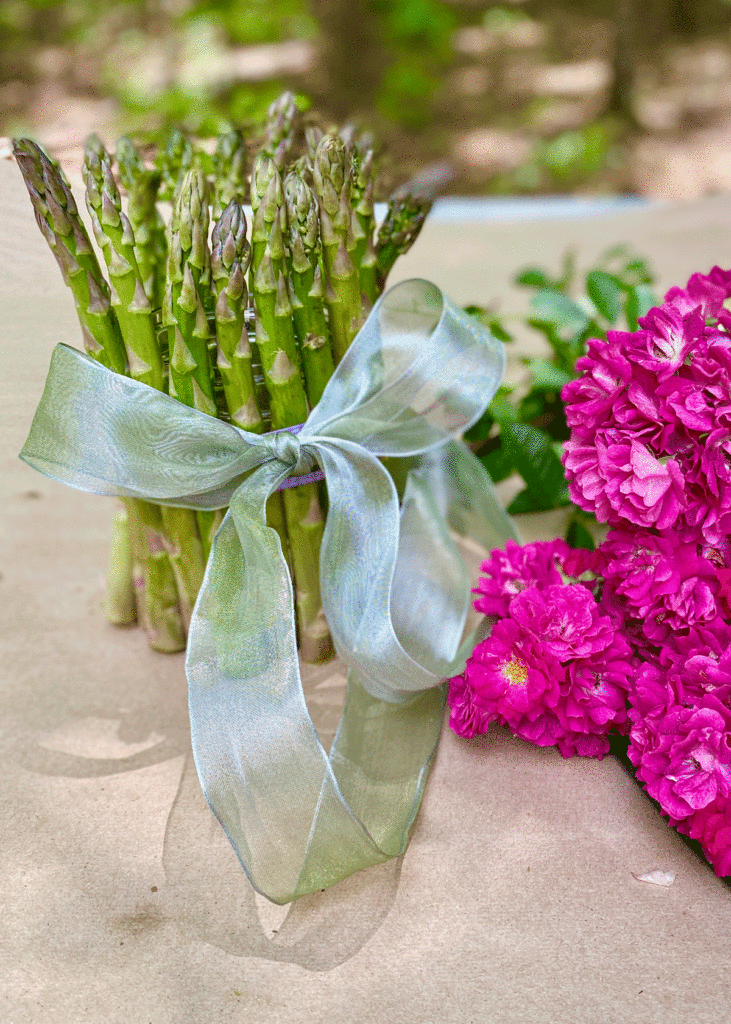 Asparagus stems on a base tied with a ribbon. Roses are nearby for the bouquet