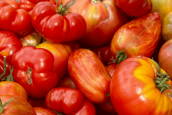 Red ripe tomatoes in a bowl