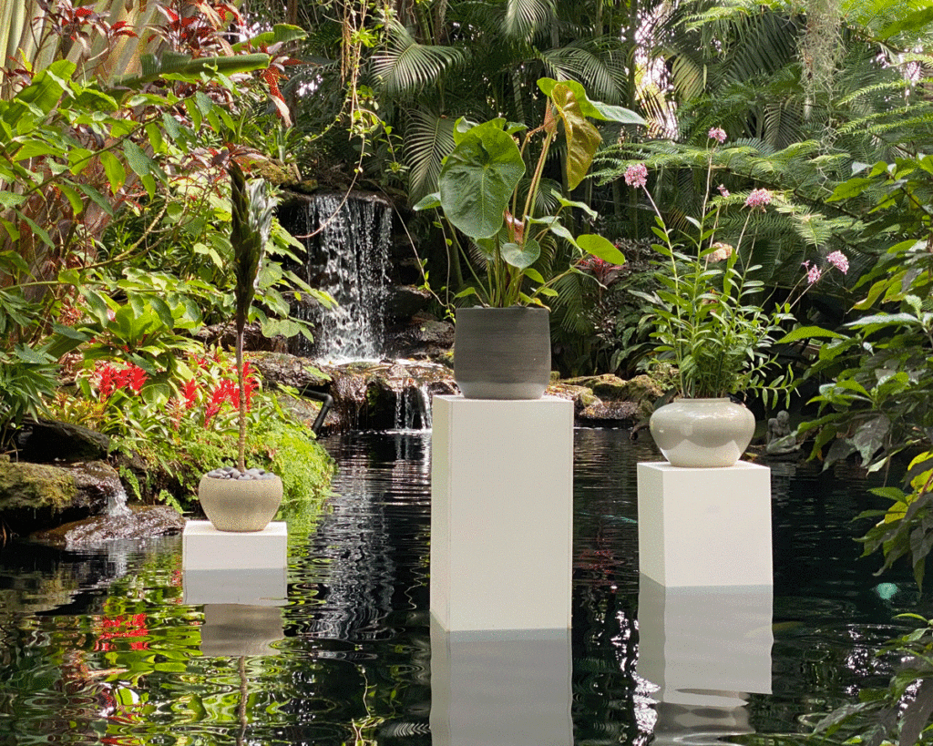 Three pillars in a pond with plants