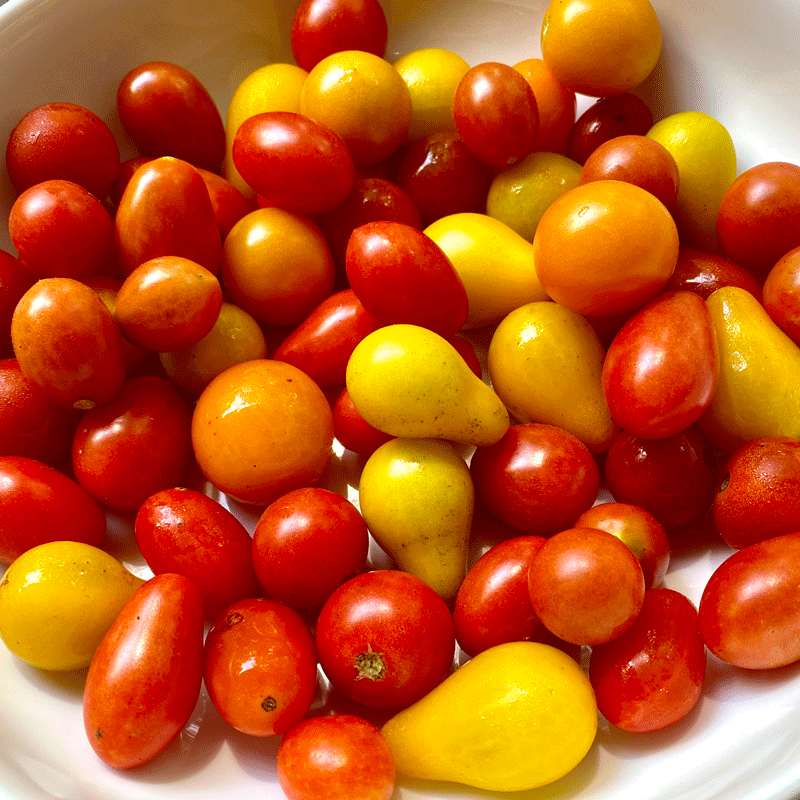 Red and yellow cherry tomatoes in a white bowl