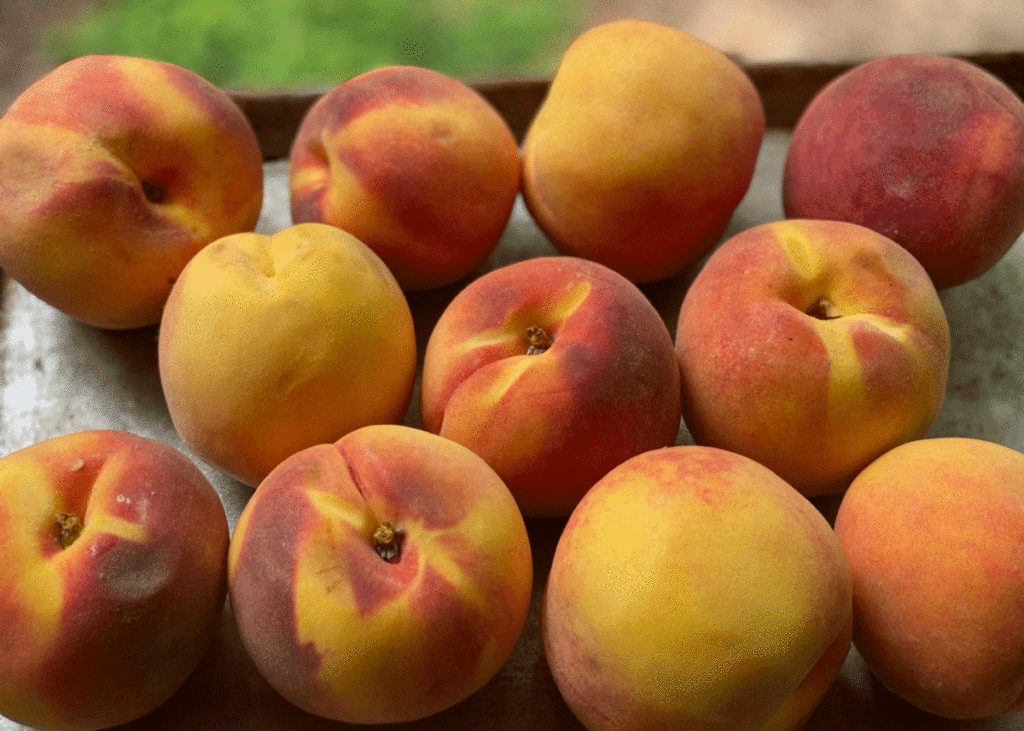 Peaches on a tray