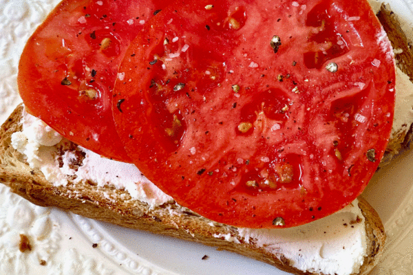 Sliced tomatoes on a piece of multigrain bread with goat cheese spread