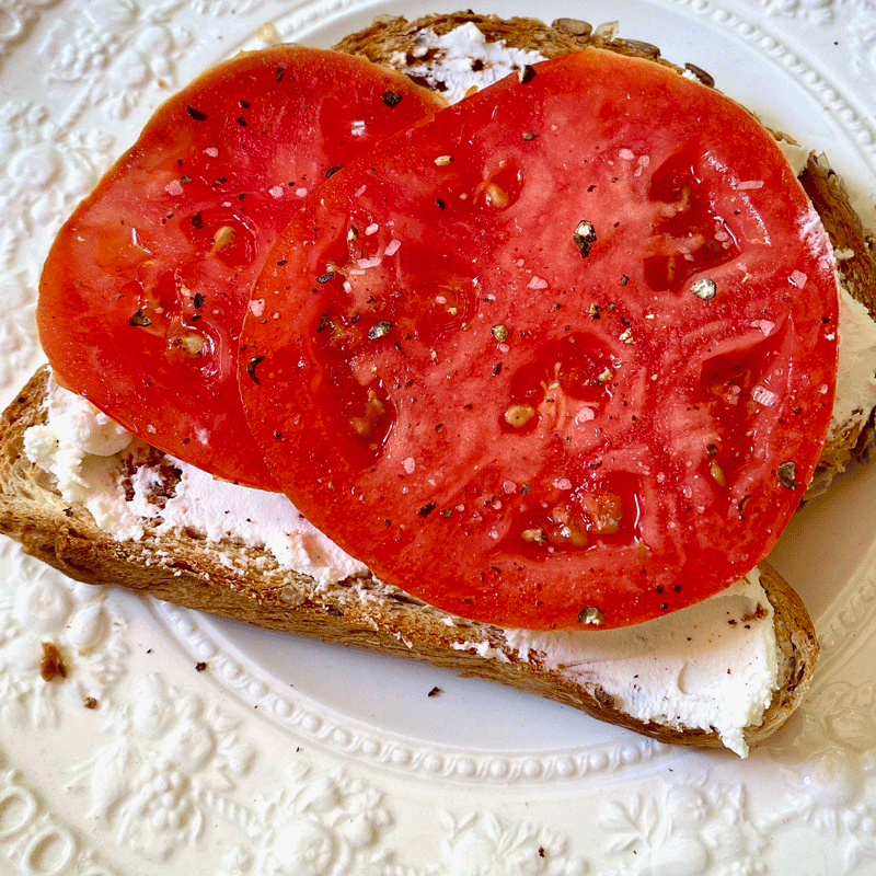 Sliced tomatoes on a piece of multigrain bread with goat cheese spread