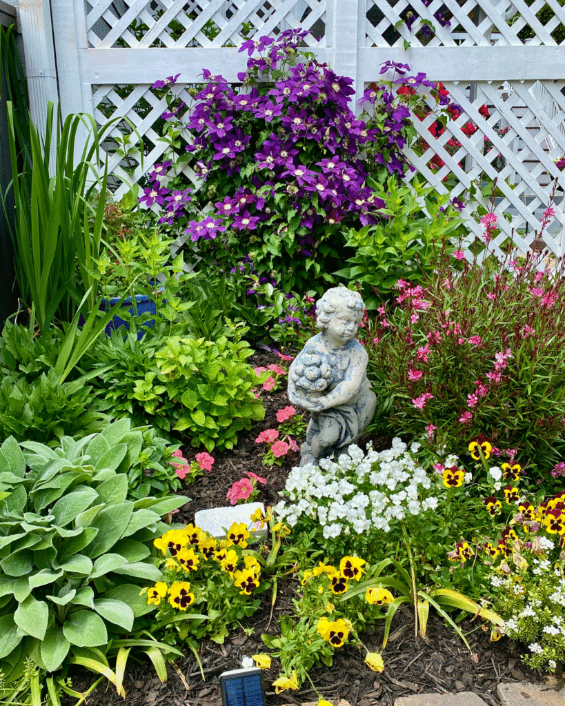 Garden with statue and purple clematis climbing on a trellis