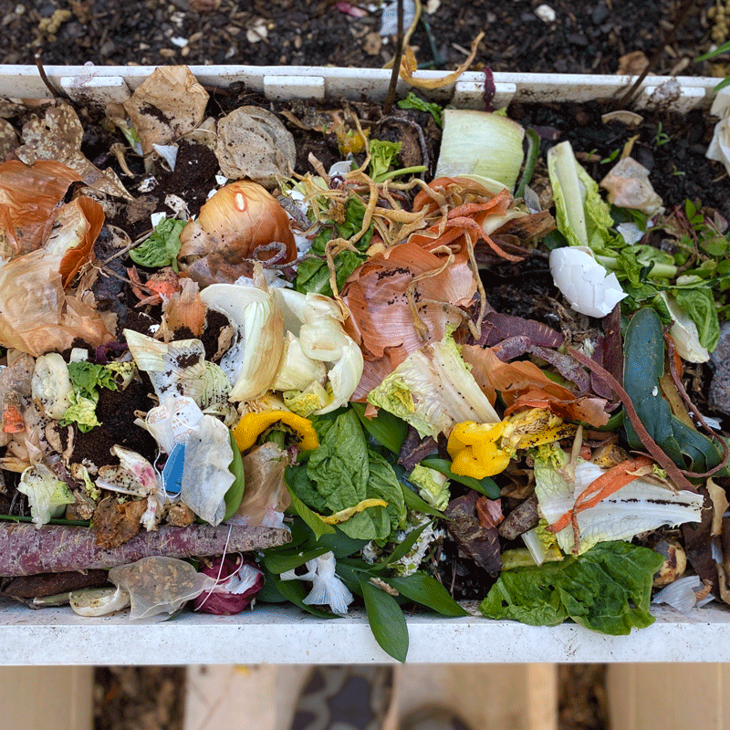 Composter in keyhole garden