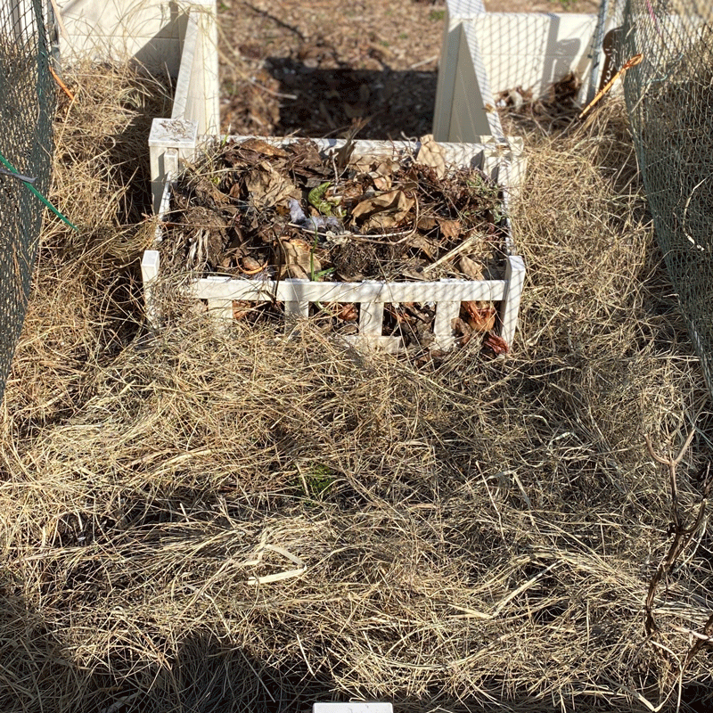 Keyhole garden with mulch
