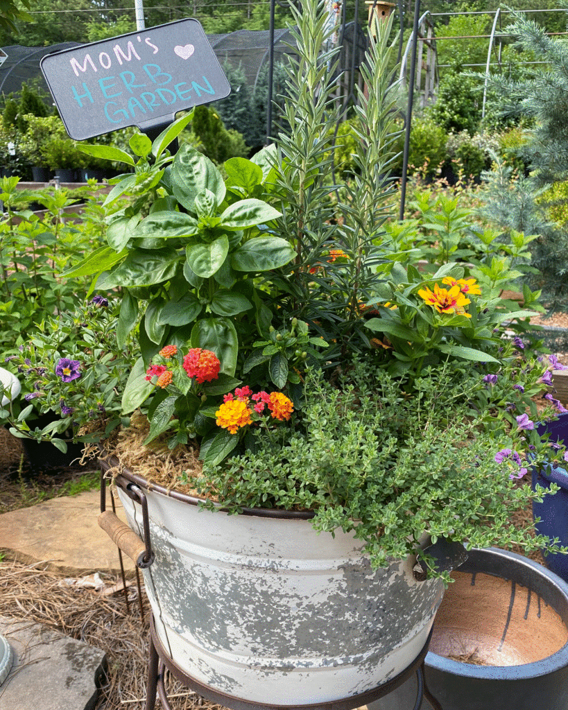 Herb planter with basil and lantana in a rustic planter